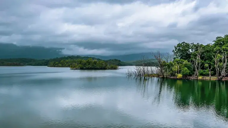 Peppara Wildlife Sanctuary